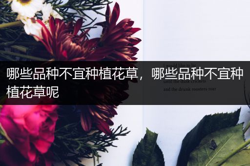 哪些品种不宜种植花草，哪些品种不宜种植花草呢