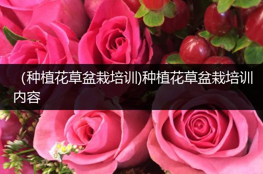 （种植花草盆栽培训)种植花草盆栽培训内容