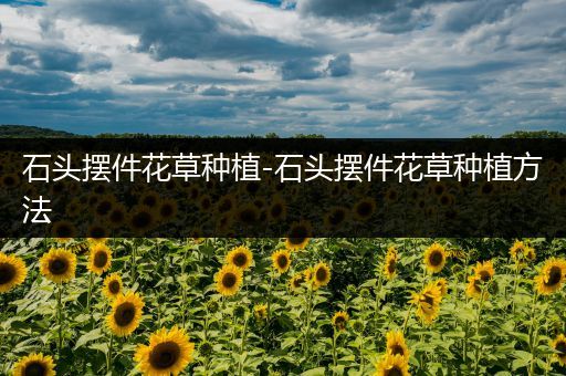 石头摆件花草种植-石头摆件花草种植方法
