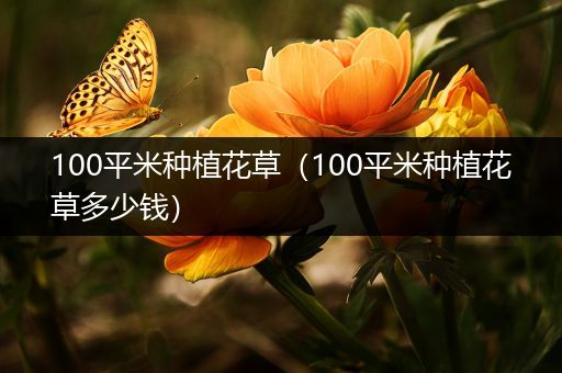 100平米种植花草（100平米种植花草多少钱）