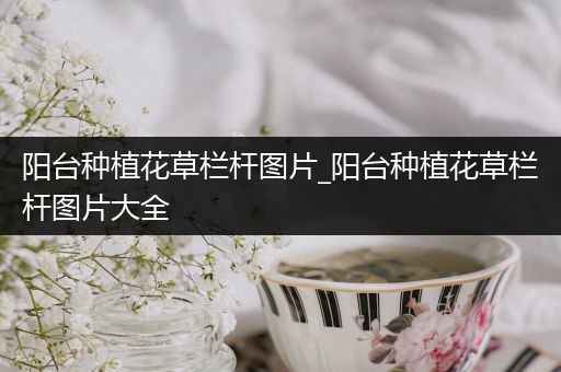 阳台种植花草栏杆图片_阳台种植花草栏杆图片大全