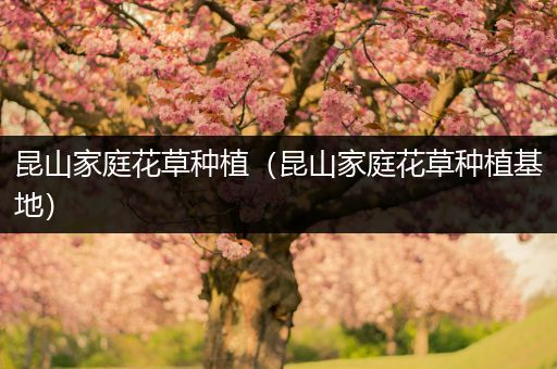 昆山家庭花草种植（昆山家庭花草种植基地）