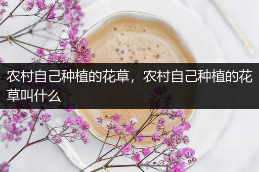 农村自己种植的花草，农村自己种植的花草叫什么