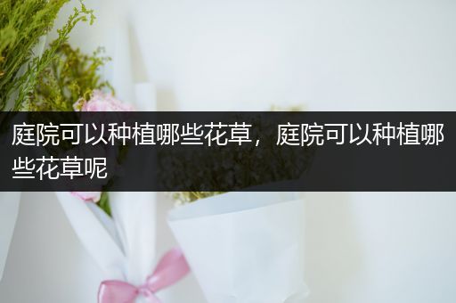 庭院可以种植哪些花草，庭院可以种植哪些花草呢