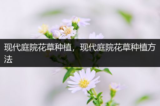 现代庭院花草种植，现代庭院花草种植方法