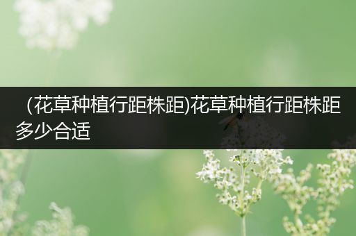 （花草种植行距株距)花草种植行距株距多少合适