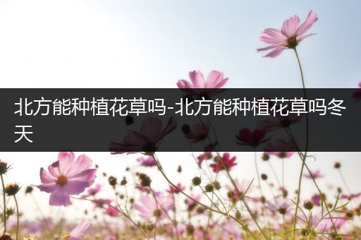 北方能种植花草吗-北方能种植花草吗冬天
