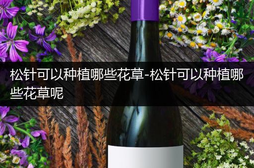 松针可以种植哪些花草-松针可以种植哪些花草呢
