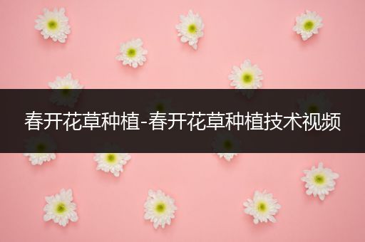 春开花草种植-春开花草种植技术视频