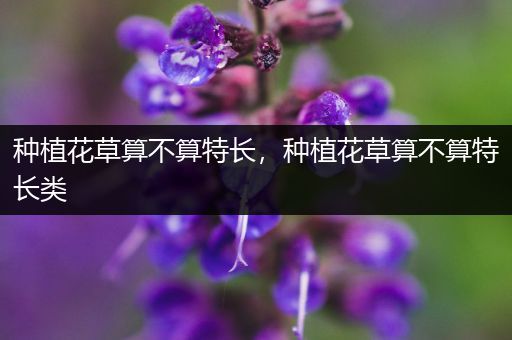 种植花草算不算特长，种植花草算不算特长类