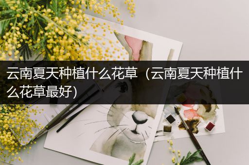 云南夏天种植什么花草（云南夏天种植什么花草最好）
