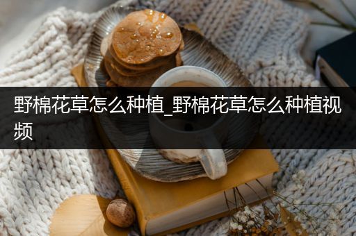 野棉花草怎么种植_野棉花草怎么种植视频