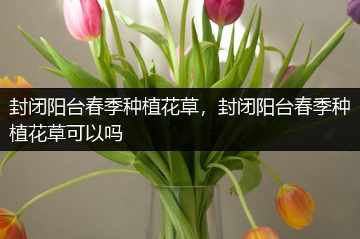 封闭阳台春季种植花草，封闭阳台春季种植花草可以吗