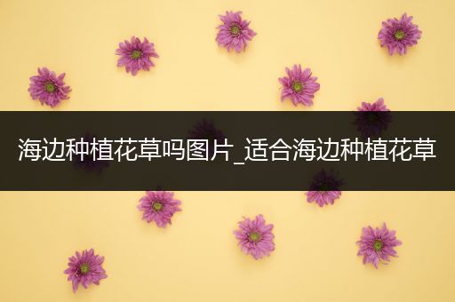海边种植花草吗图片_适合海边种植花草