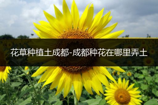 花草种植土成都-成都种花在哪里弄土
