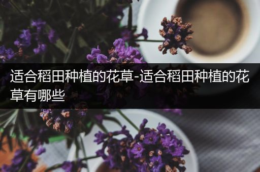 适合稻田种植的花草-适合稻田种植的花草有哪些