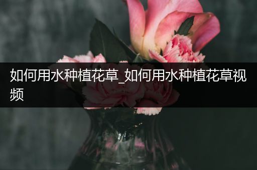 如何用水种植花草_如何用水种植花草视频