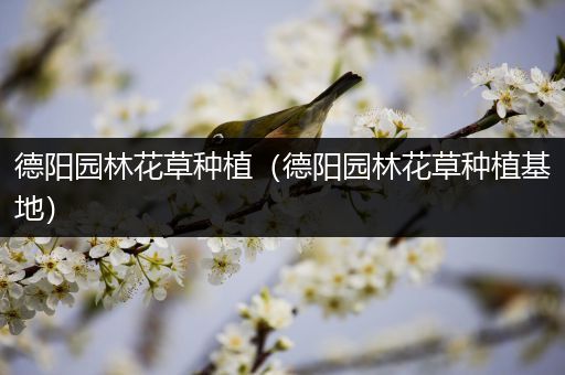 德阳园林花草种植（德阳园林花草种植基地）