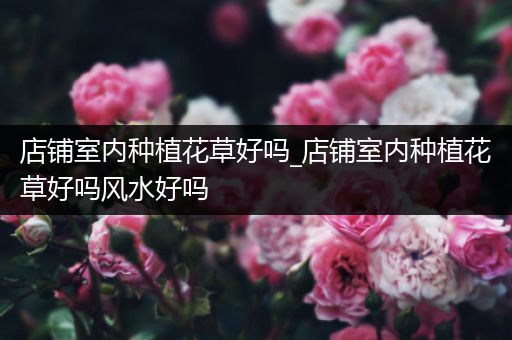 店铺室内种植花草好吗_店铺室内种植花草好吗风水好吗