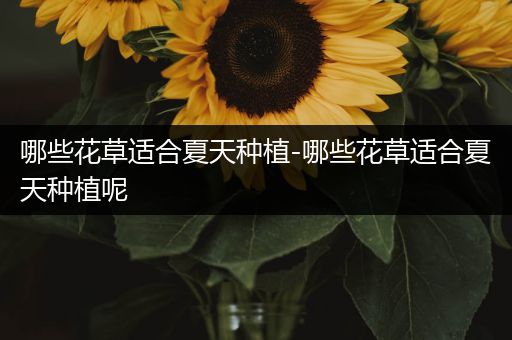 哪些花草适合夏天种植-哪些花草适合夏天种植呢