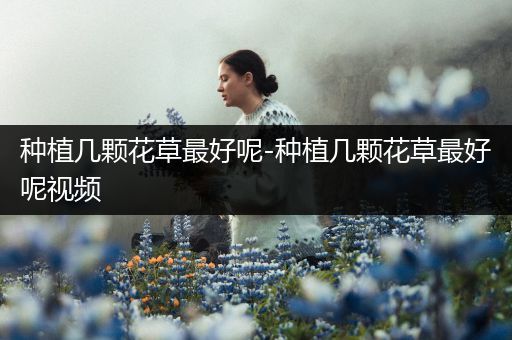 种植几颗花草最好呢-种植几颗花草最好呢视频