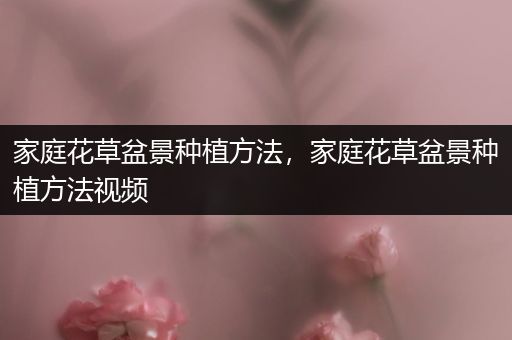 家庭花草盆景种植方法，家庭花草盆景种植方法视频