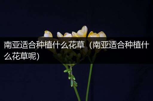 南亚适合种植什么花草（南亚适合种植什么花草呢）