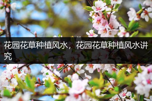 花园花草种植风水，花园花草种植风水讲究
