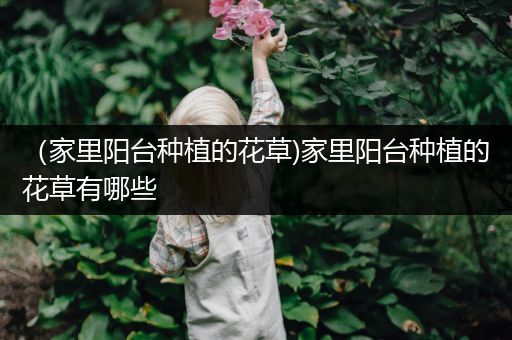 （家里阳台种植的花草)家里阳台种植的花草有哪些