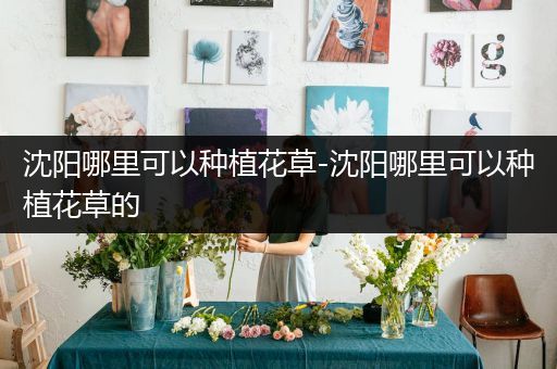 沈阳哪里可以种植花草-沈阳哪里可以种植花草的