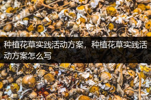 种植花草实践活动方案，种植花草实践活动方案怎么写