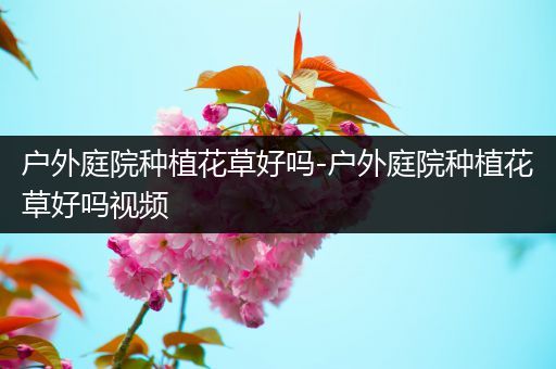 户外庭院种植花草好吗-户外庭院种植花草好吗视频