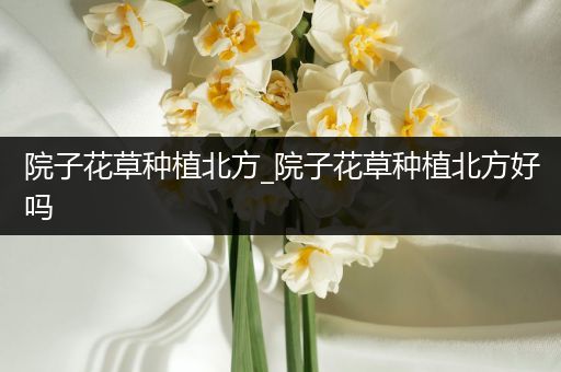 院子花草种植北方_院子花草种植北方好吗