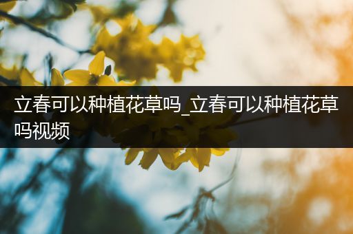 立春可以种植花草吗_立春可以种植花草吗视频