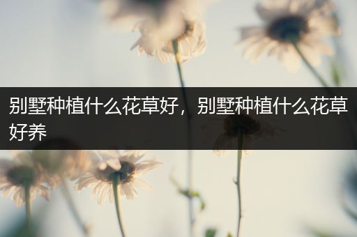 别墅种植什么花草好，别墅种植什么花草好养