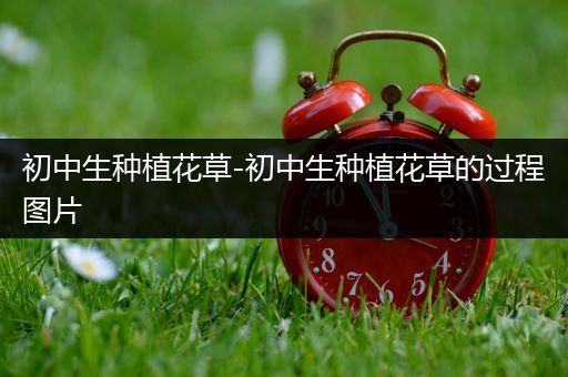 初中生种植花草-初中生种植花草的过程图片