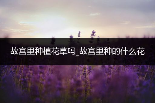 故宫里种植花草吗_故宫里种的什么花