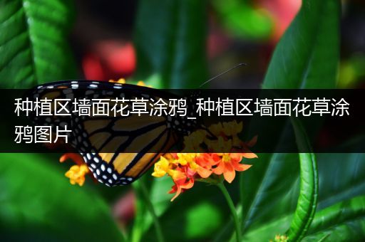 种植区墙面花草涂鸦_种植区墙面花草涂鸦图片