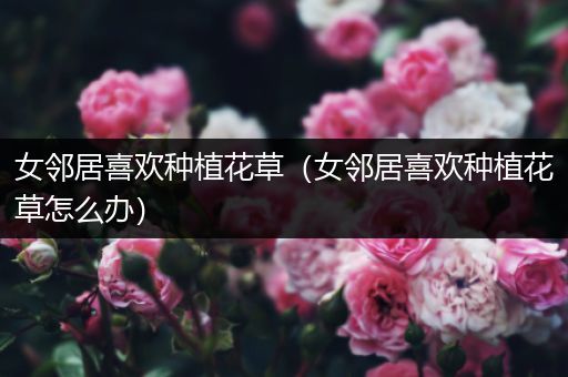 女邻居喜欢种植花草（女邻居喜欢种植花草怎么办）