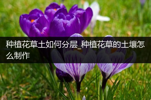 种植花草土如何分层_种植花草的土壤怎么制作