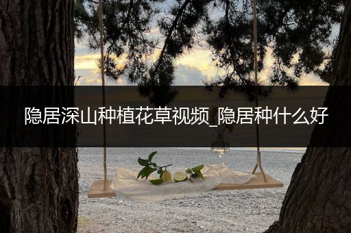 隐居深山种植花草视频_隐居种什么好