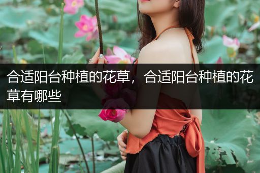 合适阳台种植的花草，合适阳台种植的花草有哪些