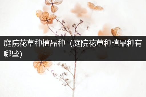 庭院花草种植品种（庭院花草种植品种有哪些）