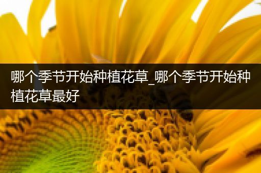 哪个季节开始种植花草_哪个季节开始种植花草最好