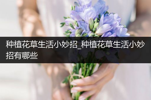 种植花草生活小妙招_种植花草生活小妙招有哪些