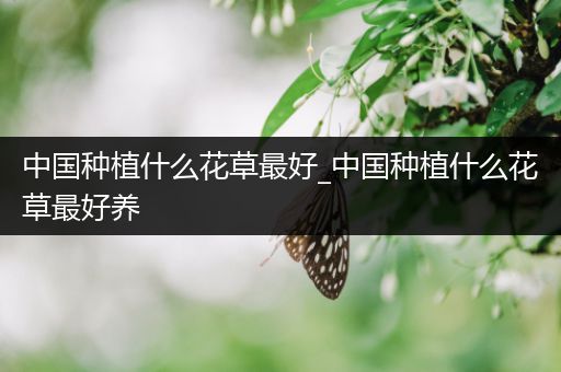 中国种植什么花草最好_中国种植什么花草最好养