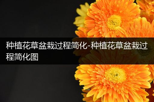 种植花草盆栽过程简化-种植花草盆栽过程简化图