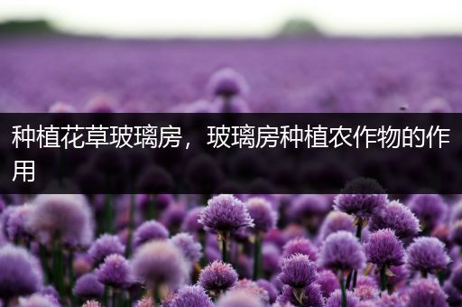 种植花草玻璃房，玻璃房种植农作物的作用