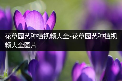 花草园艺种植视频大全-花草园艺种植视频大全图片