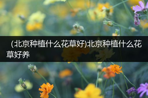 （北京种植什么花草好)北京种植什么花草好养